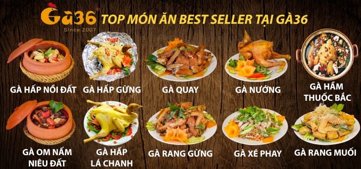 Gà 36 - cơm gà hội an