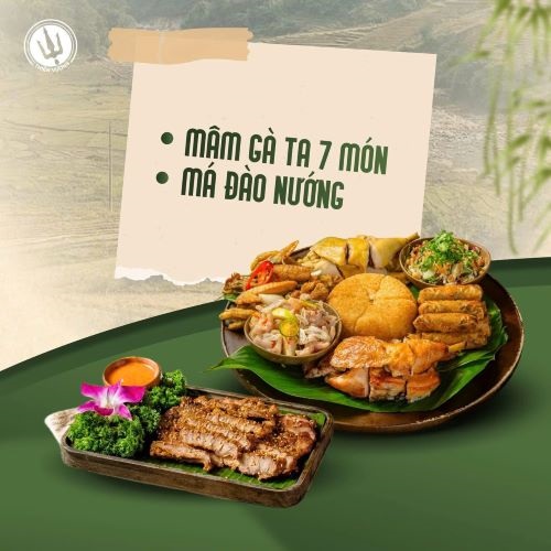 gà mẹt Hà Nội - Thiên Trúc
