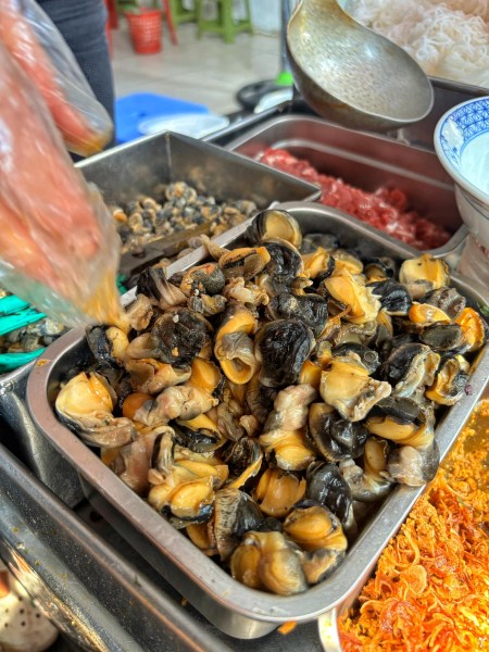 Ốc Cửa Nam
