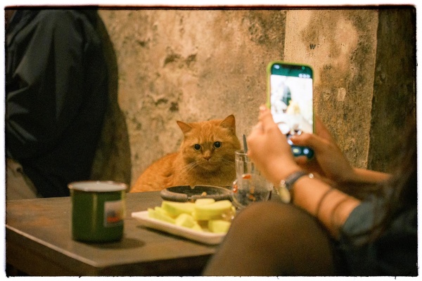cafe trứng Hai Bà Trưng